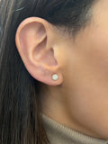 Medium Halo Earrings